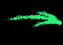 site-logo